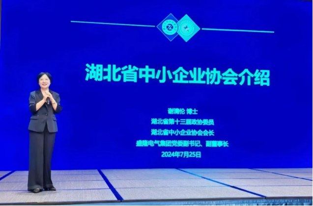 世恒授牌 | 湖北省中小企業(yè)協(xié)會(huì)會(huì)長(zhǎng)辦公會(huì)圓滿(mǎn)落幕 世恒授牌 | 湖北省中小企業(yè)協(xié)會(huì)會(huì)長(zhǎng)辦公會(huì)圓滿(mǎn)落幕